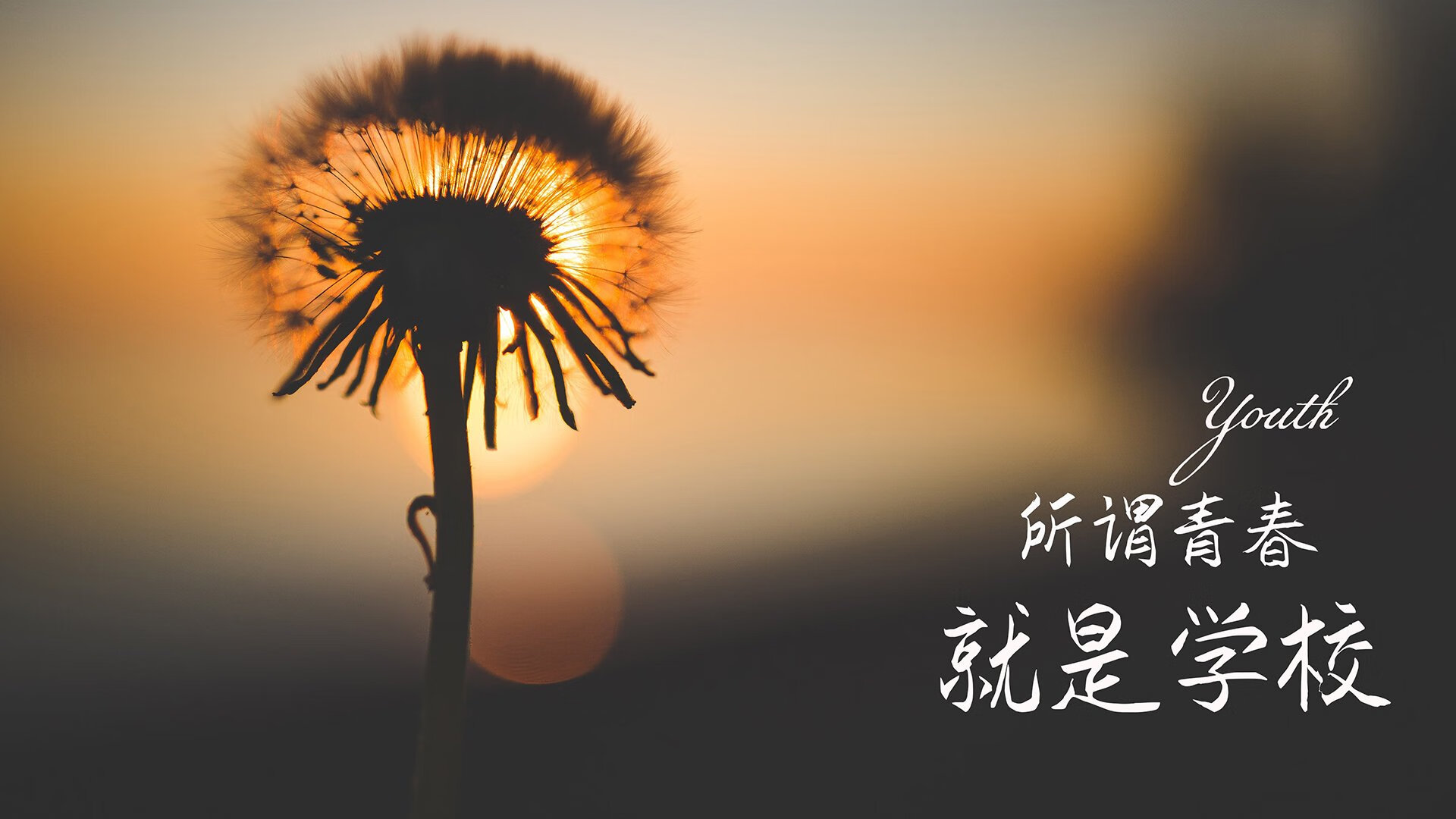 三轮车发电机怎么装（三轮车安装发电机安装图片看一下）